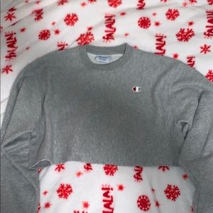 Cropped champion hoodie